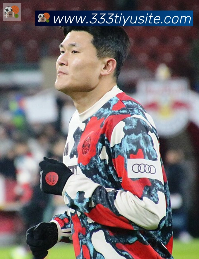 维尼修斯